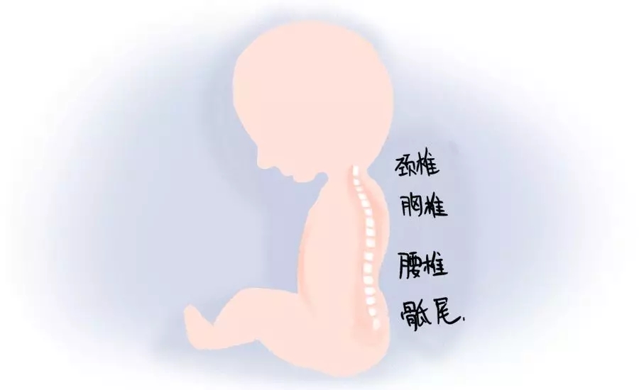 һڰʺƪһҪ1.webp.jpg